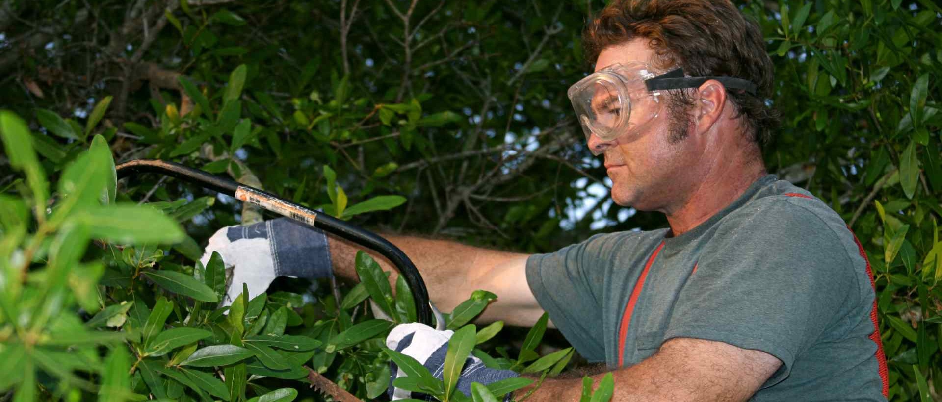 garden clearance EN4