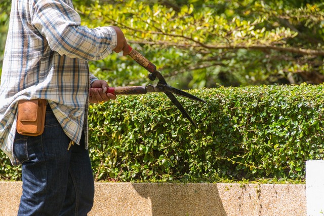 Garden Maintenance Cockfosters, East Barnet, EN4